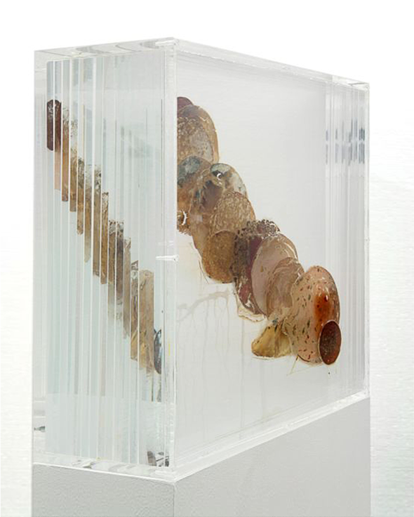 Tue Greenfort, Bio-Wurstwolke, 2007