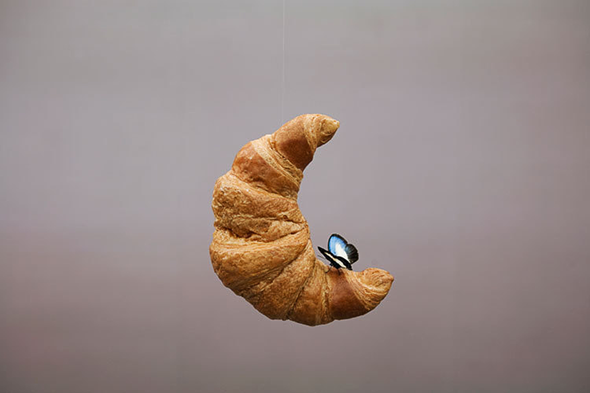Urs Fischer, Cupadre, 2009