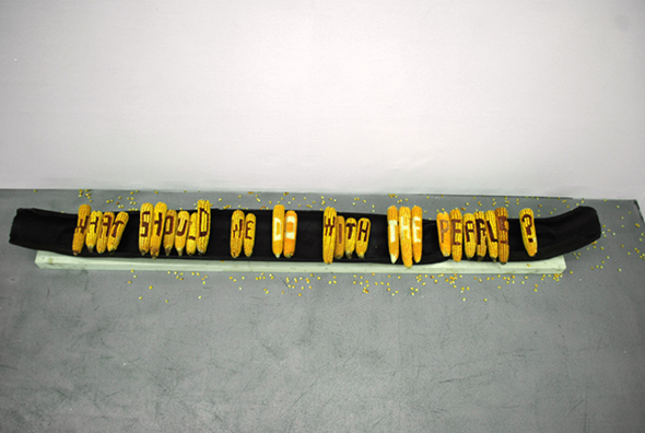 Mircea Cantor, Response, 2009