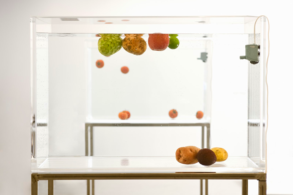 Shimabaku, Something to Float/Something to Sink, 2008