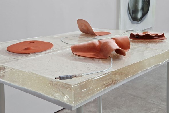 Alisa Baremboym, Leakage Industries: Clear Conduit, 2012