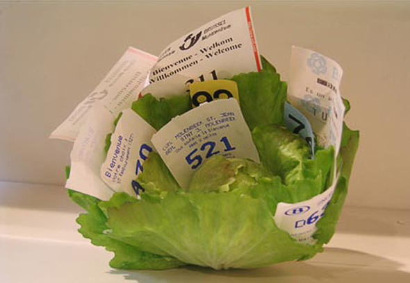 Gabriel Kuri, Waiting stub lettuce, 2004
