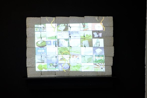 Anicka Yi, Untitled, 2011