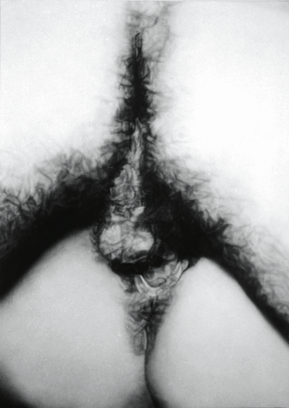 Betty Tompkins, Fuck Painting #9, 1974