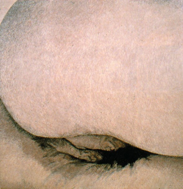 Betty Tompkins, Cunt Painting #3, 2004