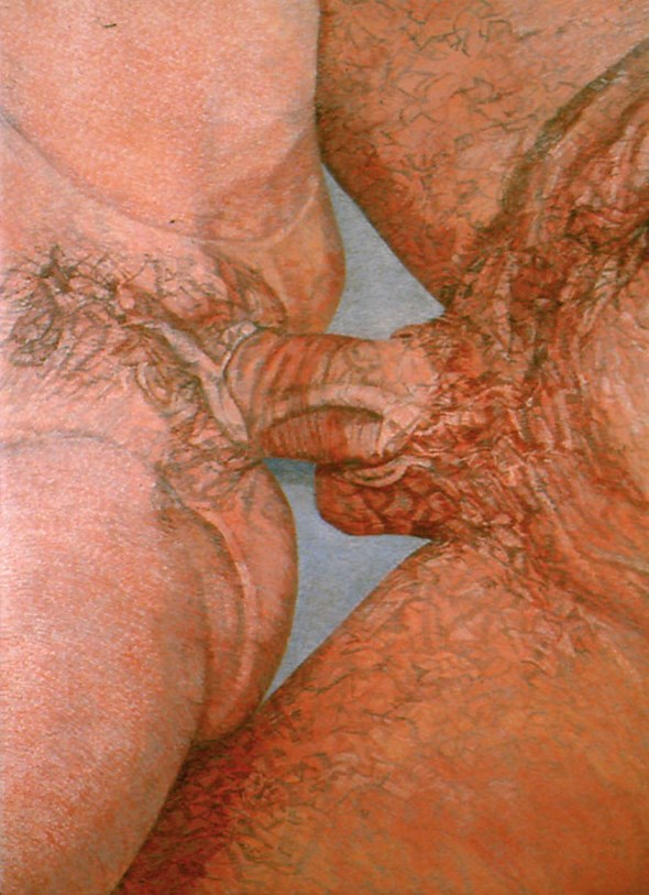Betty Tompkins, Fuck Painting #12, 2004