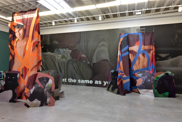 Bjarne Melgaard, »Ignorant Transparencies«, 2013