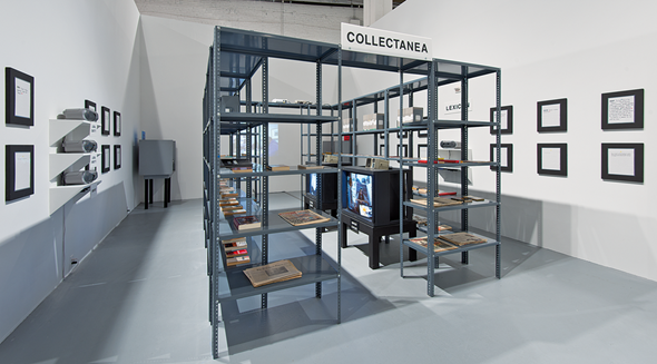 Renee Green, Import/Export Funk Office, 1992–93