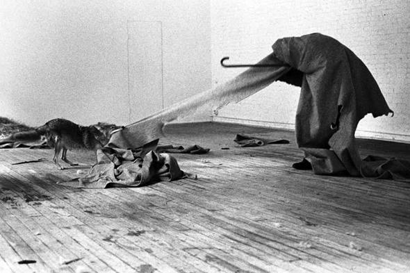 Joseph Beuys, I Like America and America Likes Me, 1974