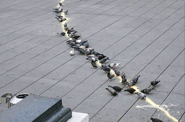 Kader Attia, The Myth of Order #1, 2010