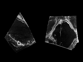 Paul Sietsema, Figure 3, 2008