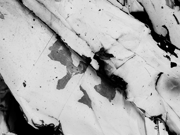Paul Sietsema, Figure 3, 2008