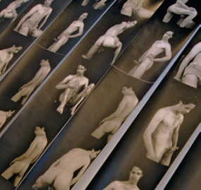 Sands Murray-Wassink, 2008