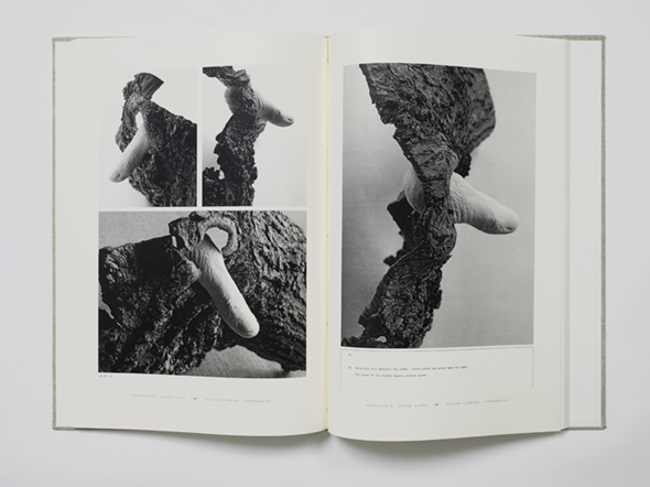 Sarah Lucas & Julian Simmons, Penetralia, 2008