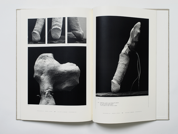 Sarah Lucas & Julian Simmons, Penetralia, 2008
