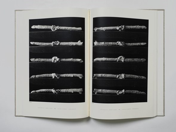 Sarah Lucas & Julian Simmons, Penetralia, 2008