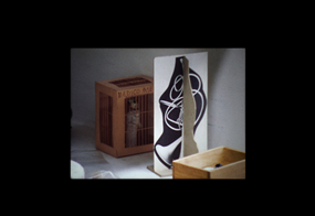 Tacita Dean, Manhattan Mouse Museum, 2011 © Tacita Dean; Courtesy Marian Goodman Gallery, Paris/New York, Frith Street Gallery, London